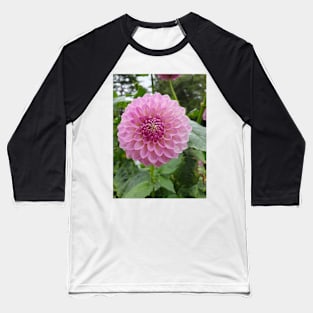 Rainy Pink Dahlia 2 Baseball T-Shirt